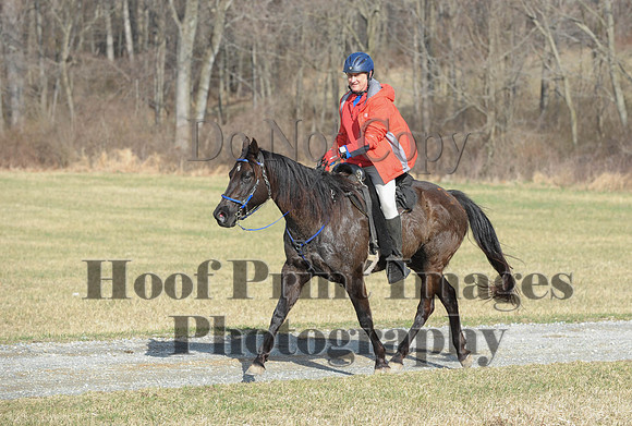 Chesapeake(4-4-15)0095