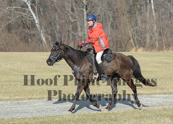 Chesapeake(4-4-15)0096