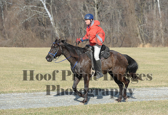 Chesapeake(4-4-15)0097