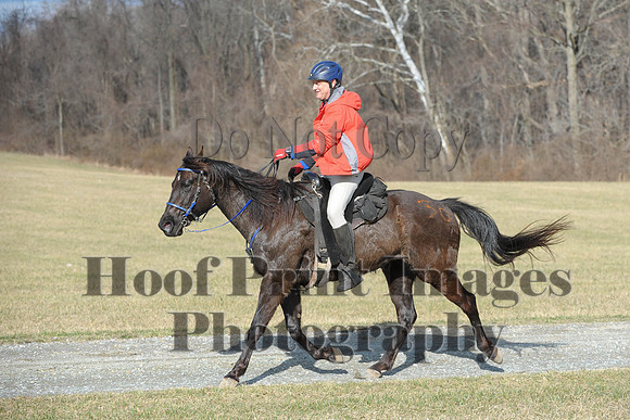 Chesapeake(4-4-15)0098