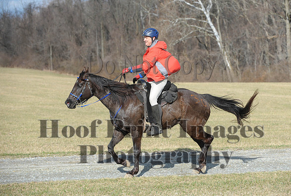 Chesapeake(4-4-15)0099