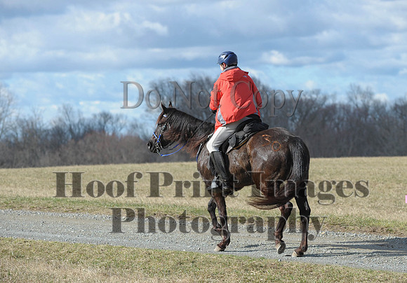 Chesapeake(4-4-15)0100