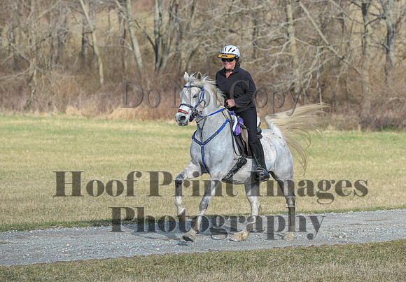 Chesapeake(4-4-15)0101