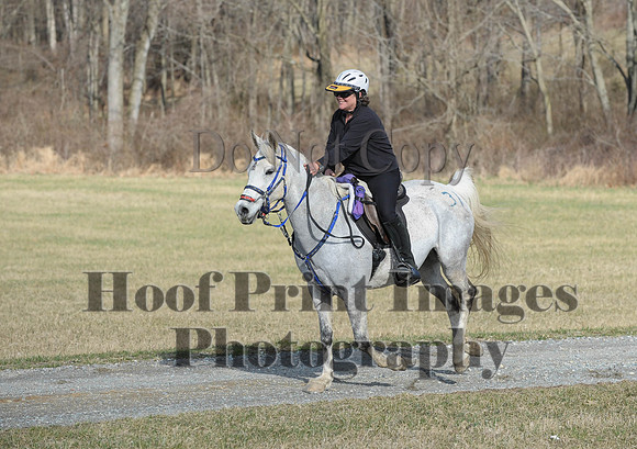 Chesapeake(4-4-15)0103