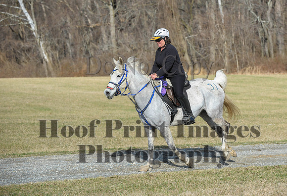 Chesapeake(4-4-15)0105