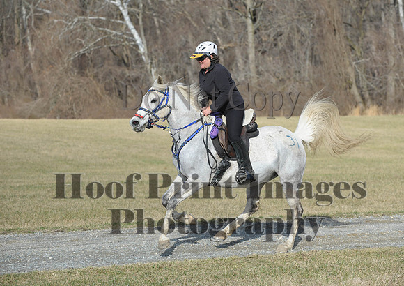 Chesapeake(4-4-15)0107