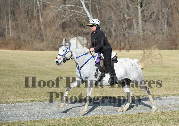 Chesapeake(4-4-15)0108
