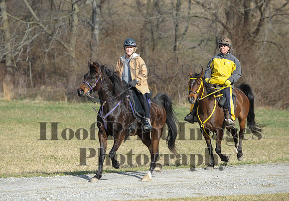 Chesapeake(4-4-15)0112