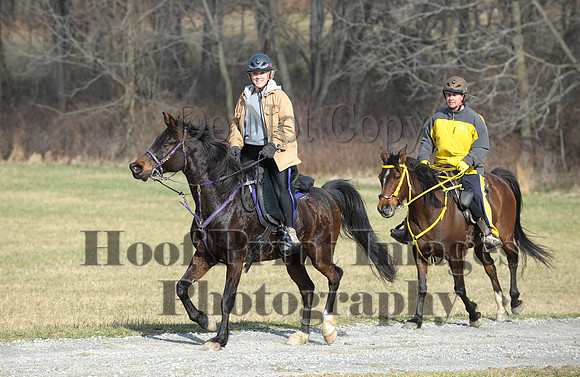 Chesapeake(4-4-15)0114