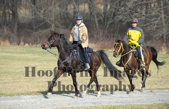 Chesapeake(4-4-15)0115
