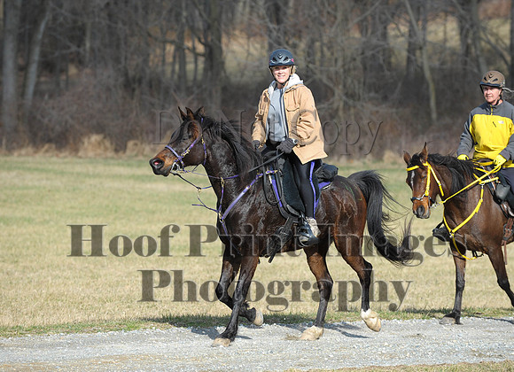 Chesapeake(4-4-15)0116