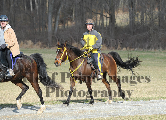 Chesapeake(4-4-15)0117