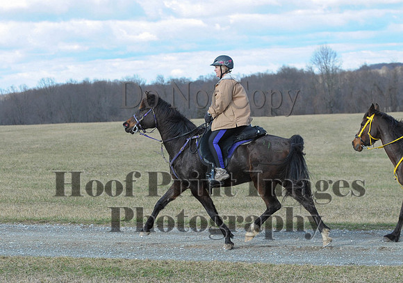 Chesapeake(4-4-15)0121