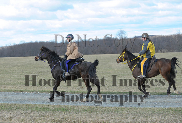 Chesapeake(4-4-15)0122