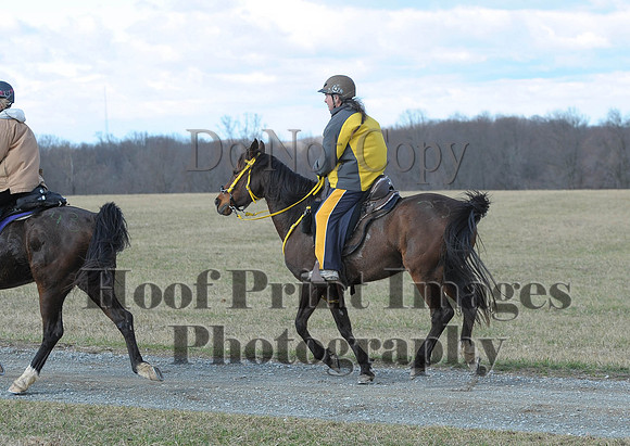 Chesapeake(4-4-15)0123