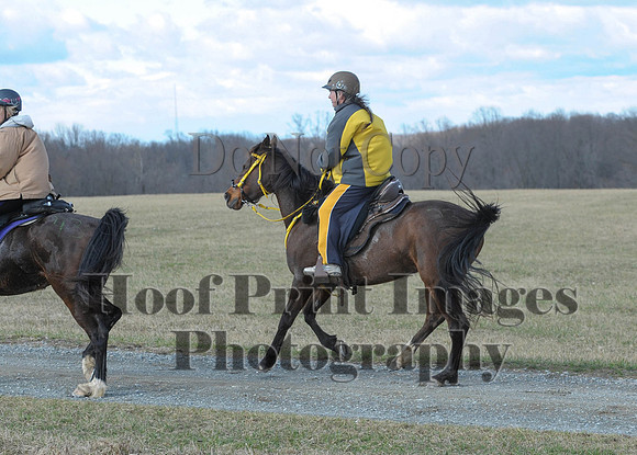 Chesapeake(4-4-15)0124