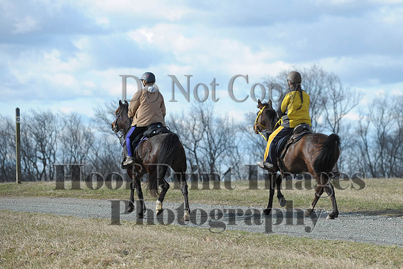 Chesapeake(4-4-15)0127