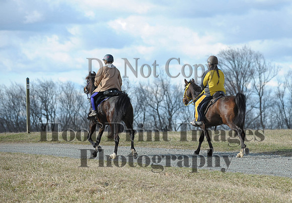 Chesapeake(4-4-15)0128