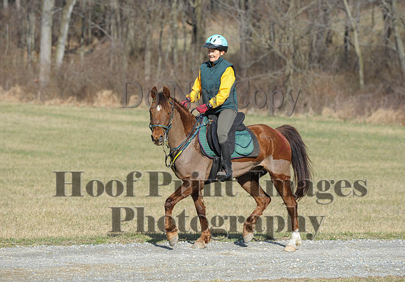 Chesapeake(4-4-15)0137