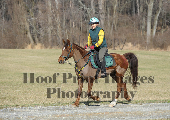 Chesapeake(4-4-15)0139