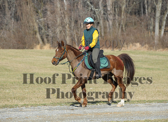 Chesapeake(4-4-15)0140