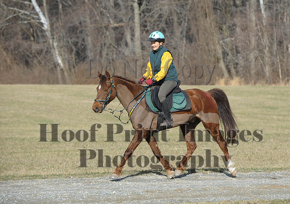 Chesapeake(4-4-15)0143