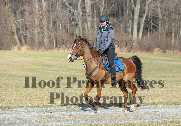 Chesapeake(4-4-15)0144