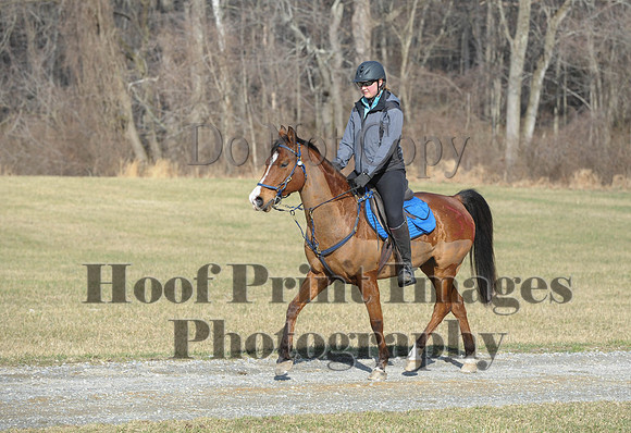 Chesapeake(4-4-15)0145
