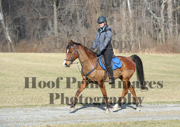 Chesapeake(4-4-15)0146