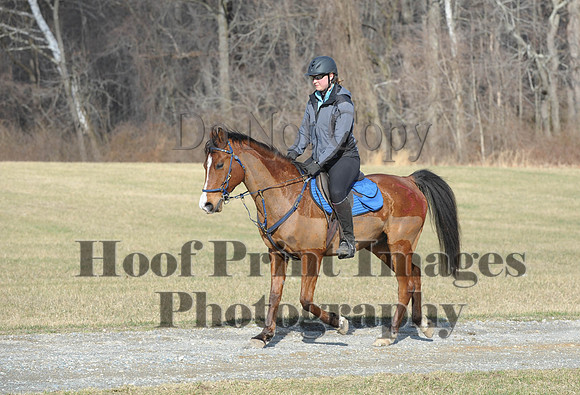 Chesapeake(4-4-15)0147