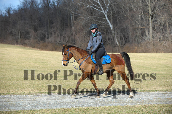 Chesapeake(4-4-15)0148