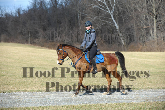 Chesapeake(4-4-15)0149