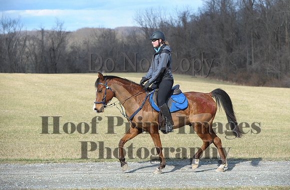 Chesapeake(4-4-15)0150