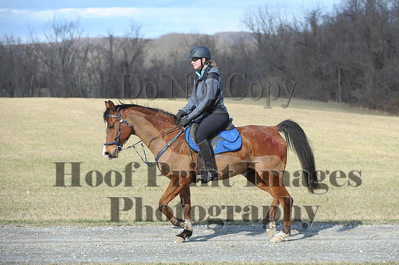 Chesapeake(4-4-15)0152