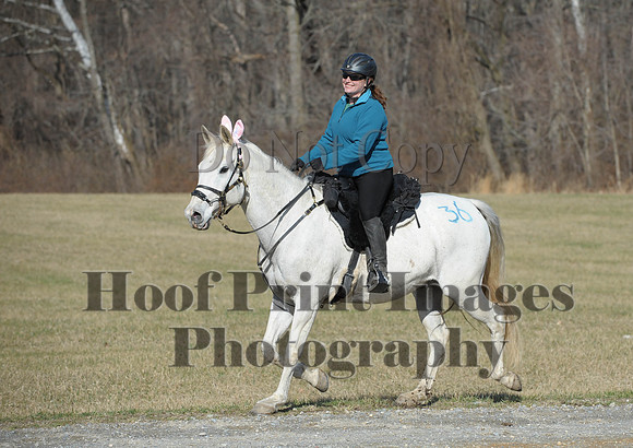 Chesapeake(4-4-15)0164