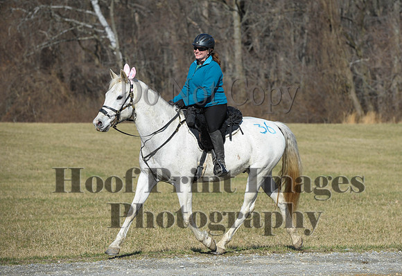 Chesapeake(4-4-15)0166