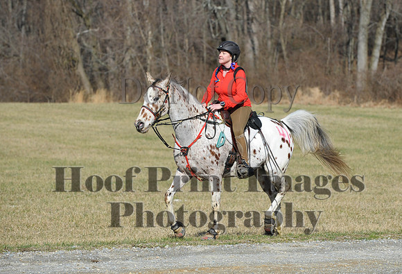 Chesapeake(4-4-15)0167
