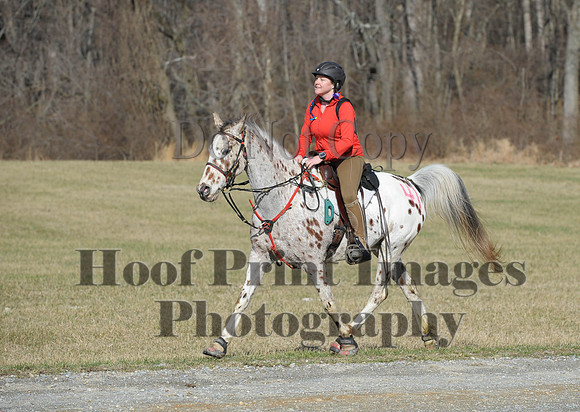 Chesapeake(4-4-15)0168