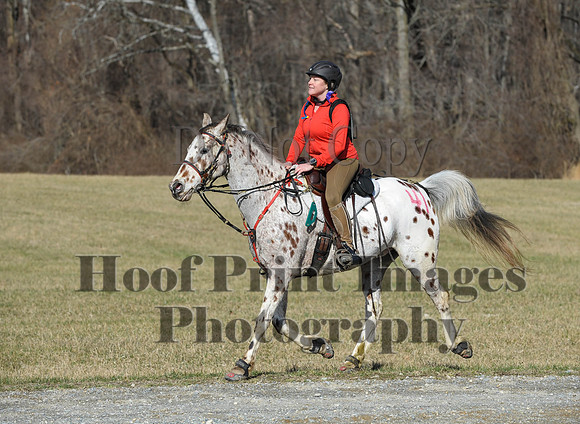 Chesapeake(4-4-15)0169
