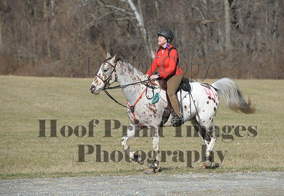 Chesapeake(4-4-15)0170