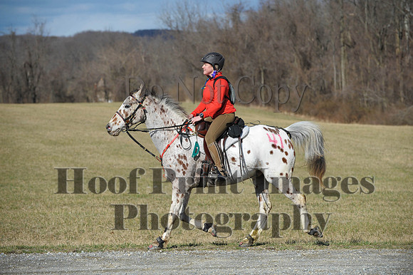 Chesapeake(4-4-15)0171
