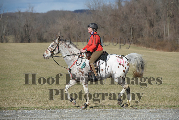 Chesapeake(4-4-15)0172