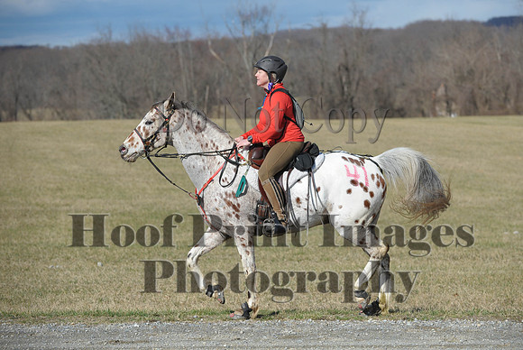 Chesapeake(4-4-15)0173