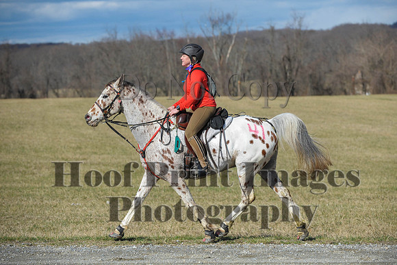 Chesapeake(4-4-15)0174