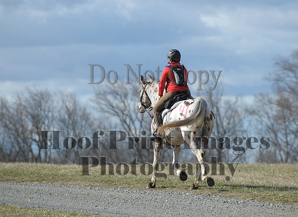 Chesapeake(4-4-15)0179