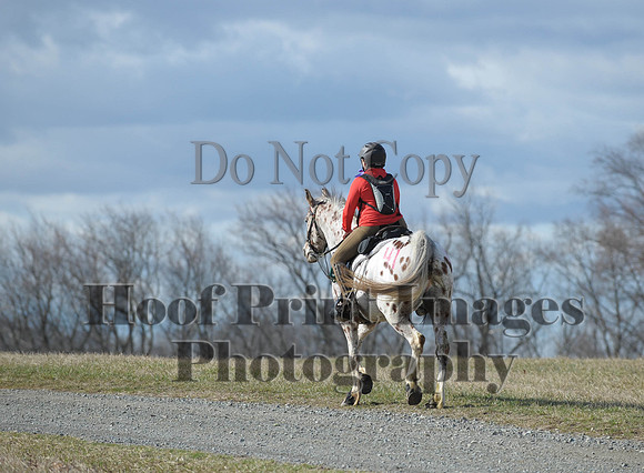 Chesapeake(4-4-15)0180