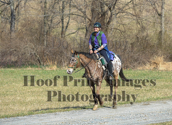 Chesapeake(4-4-15)0181