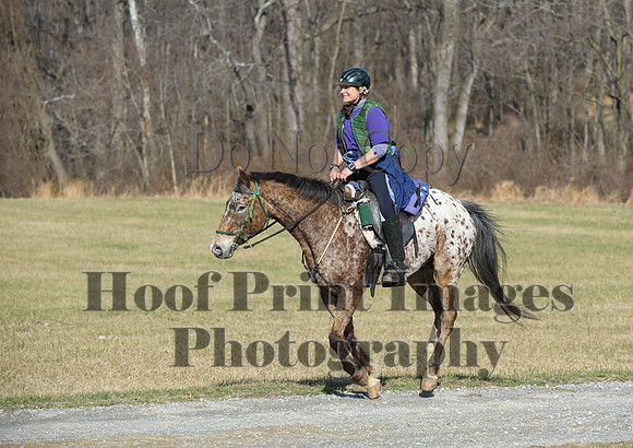 Chesapeake(4-4-15)0186