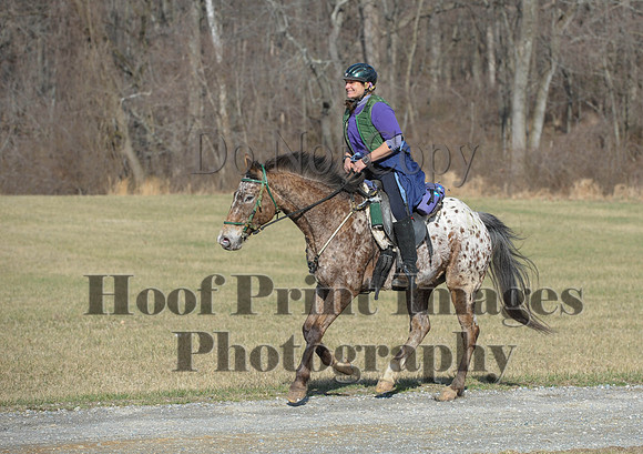 Chesapeake(4-4-15)0187