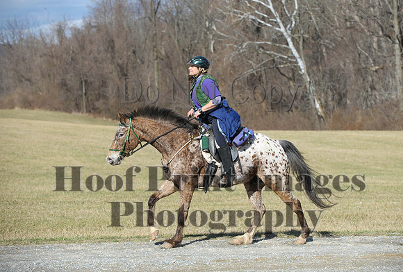 Chesapeake(4-4-15)0188